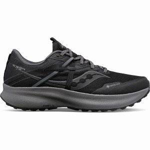 Saucony Ride 15 TR GTX Trail Løpesko Herre Svarte Grå | S74250-U13