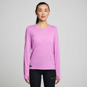 Saucony Stopwatch Grafiske Long Sleeve T-skjorte Dame Lilla | S90356-J64