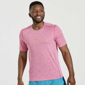 Saucony Stopwatch Kort Sleeve T-skjorte Herre Rosa | S67903-R21