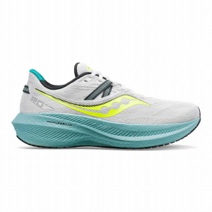 Saucony Triumph 20 Løpesko Herre Hvite | S02163-H46