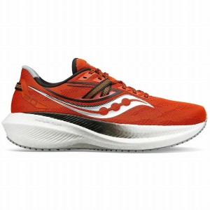 Saucony Triumph 20 Løpesko Herre Rød | S13952-J59