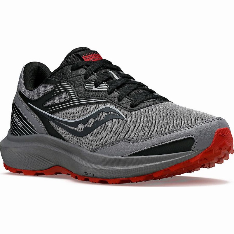 Saucony Cohesion TR16 Løpesko Herre Grå Burgunder | S80647-Y81