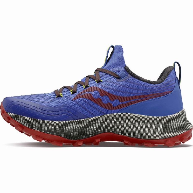 Saucony Endorphin Trail Trail Løpesko Herre Blå Brune | S29158-Q41