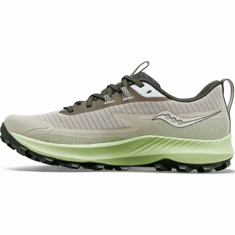 Saucony Peregrine 13 GTX Løpesko Herre Dust / Umbra | S15782-B97