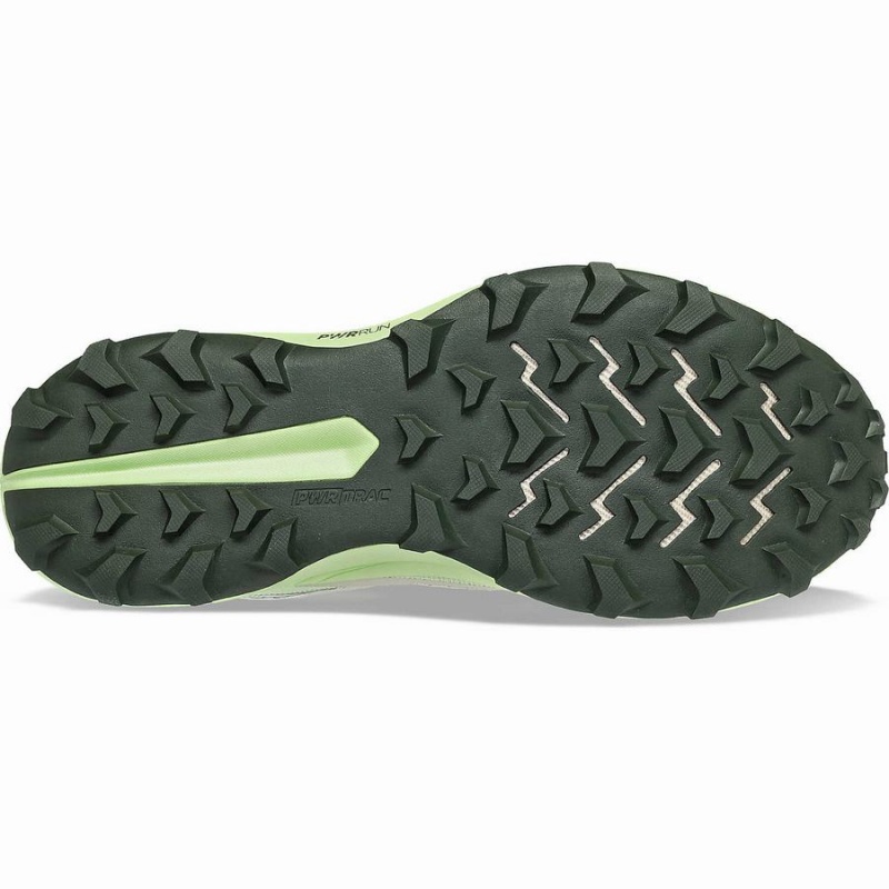 Saucony Peregrine 13 GTX Løpesko Herre Dust / Umbra | S15782-B97