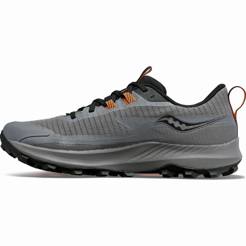 Saucony Peregrine 13 GTX Løpesko Herre Grå Svarte | S41720-V90