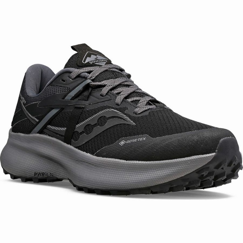 Saucony Ride 15 TR GTX Løpesko Dame Svarte Grå | S06423-R21