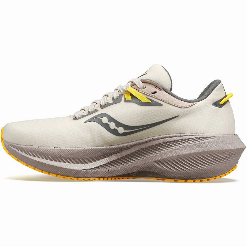 Saucony Triumph 21 RUNSHIELD Fjellsko Dame Beige | S70284-B91